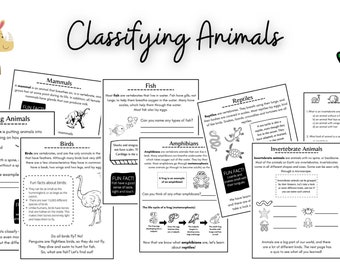 science worksheets etsy