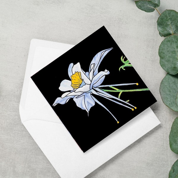 Colorado Columbine Card: A Tribute to Colorado's Beauty in this Hand-Drawn and Colored Square Greeting Card or Note Card including Envelope