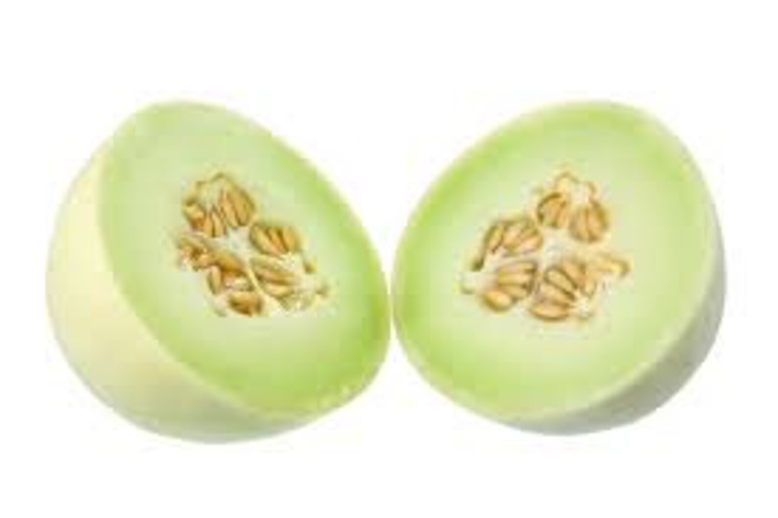 HONEYDEW MELON SEEDS 5 Fresh fruit seeds ready to plant in Etsy