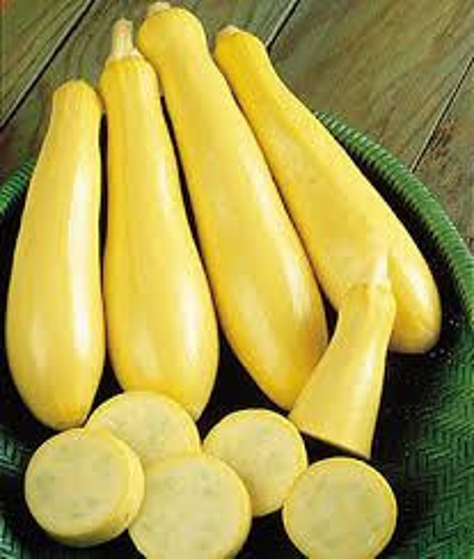 YELLOW SUMMER SQUASH Seeds 10 Fresh Seeds Ready to Plant in Etsy