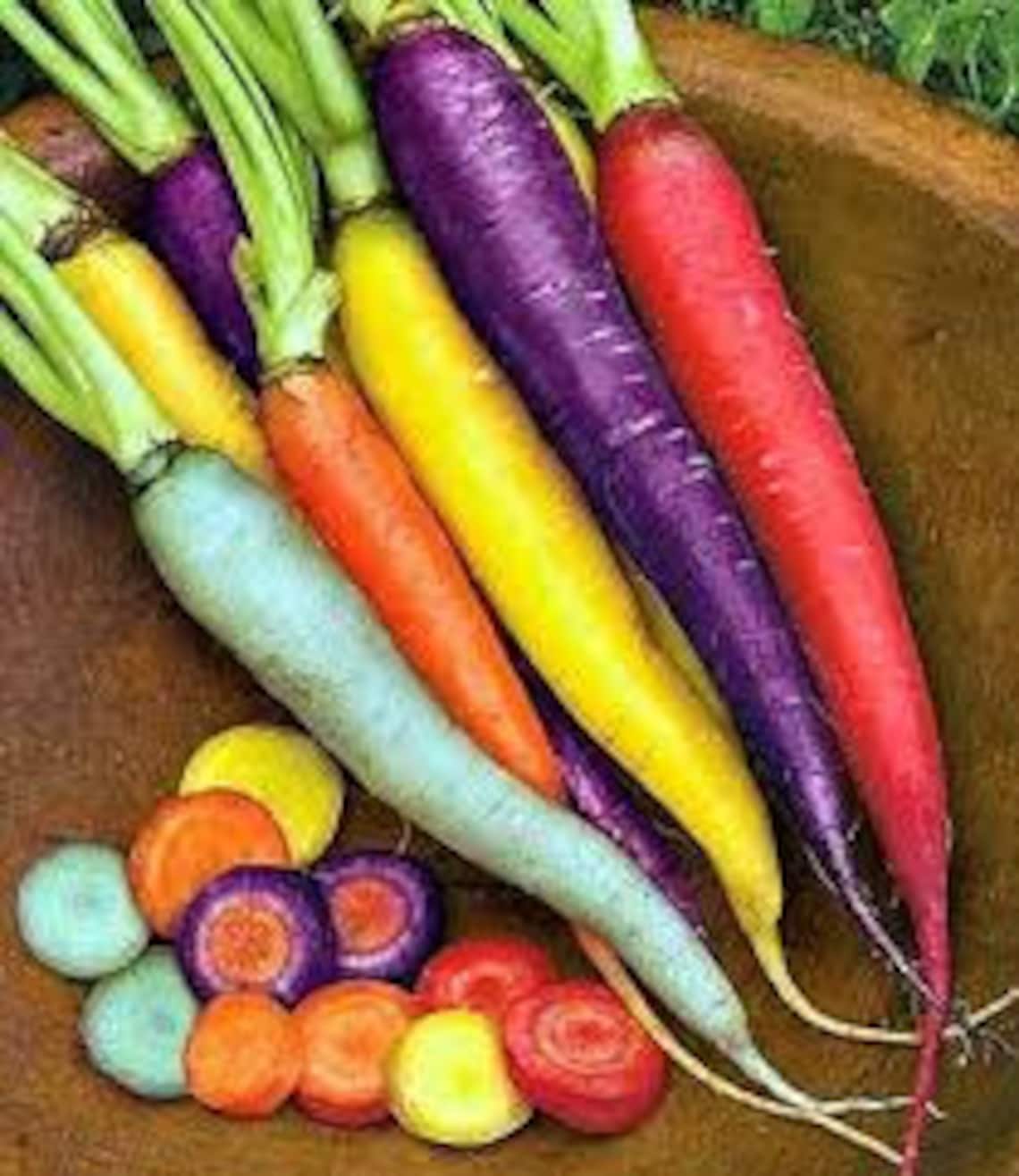 RAINBOW CARROT SEEDS 15 Fresh vegetable seed ready to plant in Etsy