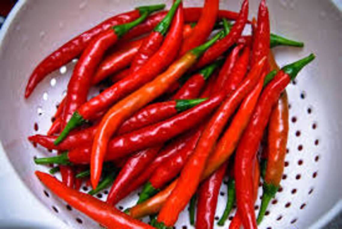 HOT CAYENNE PEPPER Seeds 10 Fresh seed ready to plant in your Etsy