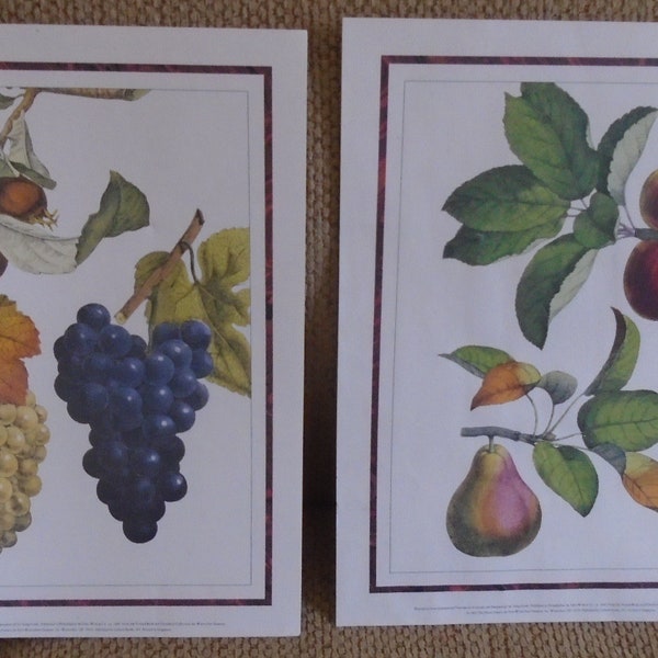 Set Of 4 WINTERTHUR Museum Fruit Prints /duPont Reproductions