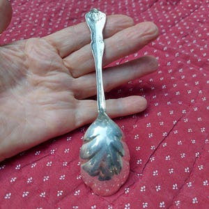 Op de afbeelding: Een zilverkleurige metalen lepel met een bladervormige kom voorzien van duidelijke nerven en een slanke steel. De steel heeft een sierlijk decoratief patroon aan de bovenzijde en bevat een gegraveerde tekst langs de metalen schacht.