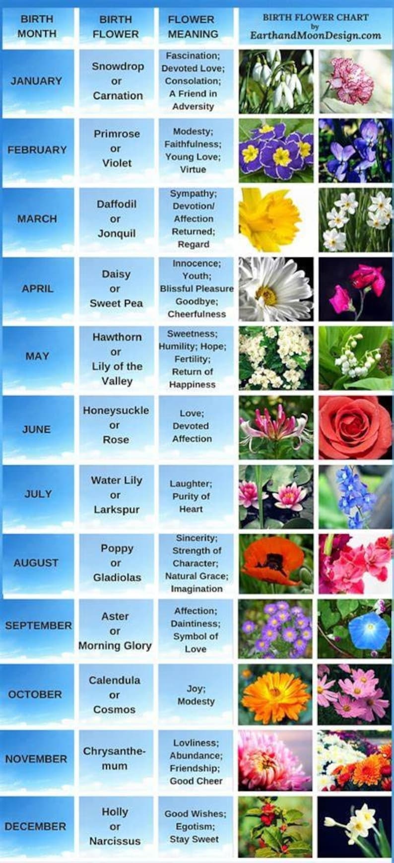 Stainless Steel JUNE BIRTH MONTH Flower Rose Necklace, June Birthday ...