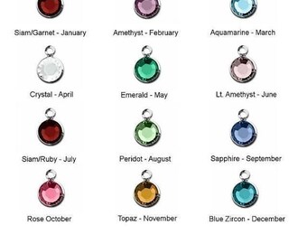 ADD on UPGRADE Swarovski/ Preciosa BIRTHSTONE channel charm 6mm silver plated - If you want only this charm - choose &quot;no I want just this&quot;