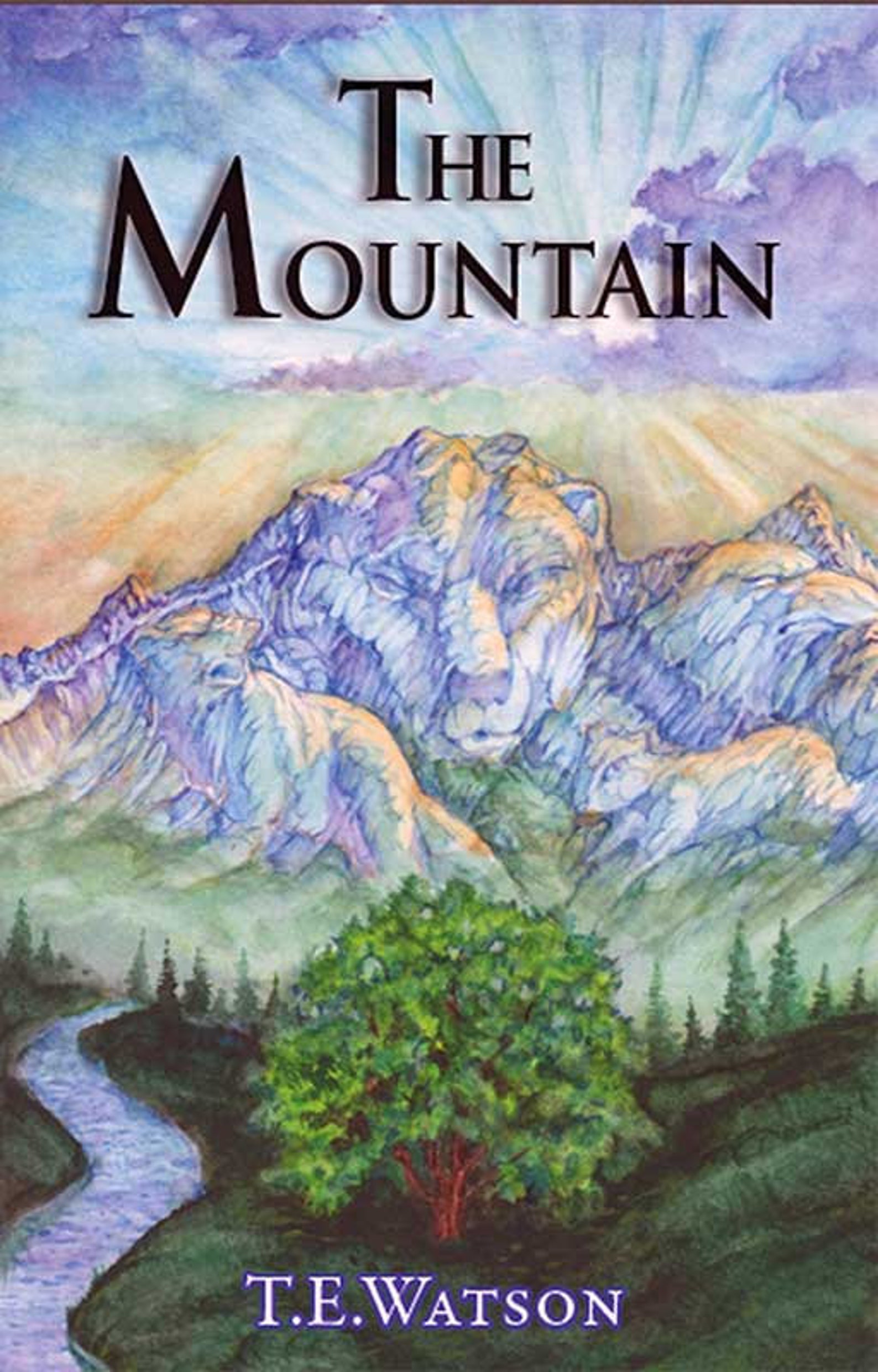 The Mountain Children's Book Adventure Middle School Etsy UK