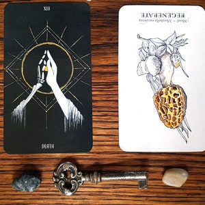 Personal Shadow Work Divination Prompt