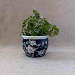 May include: A round ceramic planter with a dark blue base featuring a painted floral pattern in shades of white, pink, and light blue. The planter has a solid white rim and contains a green leafy plant with small stems and a single pink flower.