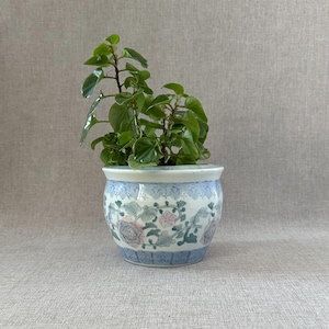 May include: A small, round ceramic planter with a floral design in shades of blue, pink, and green. The planter is filled with a leafy green plant. The planter has a light blue rim and a matching blue base.