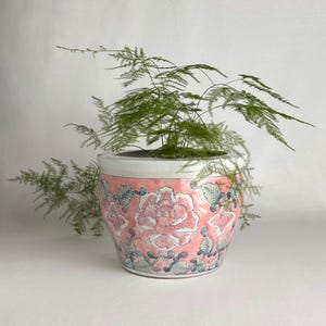 May include: A ceramic planter with a white rim and a pink body featuring a hand-painted floral pattern in shades of green, blue, and white. The pot has a rounded, tapered shape and contains a delicate, feathery green asparagus fern plant.