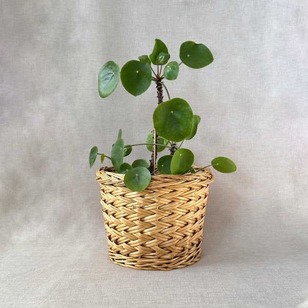 Vintage handwoven wicker planter basket with rim, plastic lined indoor houseplant basket