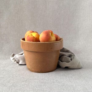 May include: A terracotta pot filled with ripe peaches, sitting on a light grey fabric surface.