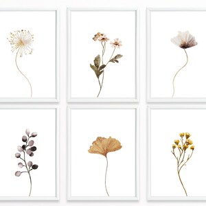 Wildflower Print - Floral Instant Art - Printable Wall Decor - Line art - Single Flower Wall Art - Botanical Print - INSTANT DOWNLOAD -