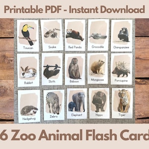 Zoo Animal Flash Card Set, Montessori Leren, Homeschool Materialen, Flash Cards Afdrukbaar, Preschool Curriculum Afdrukbaar, Peuter