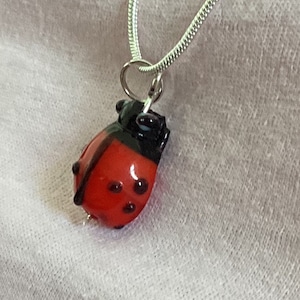 Ladybird pendant