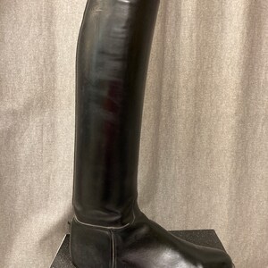 May include: A pair of black leather riding boots with a tall shaft and a pointed toe.