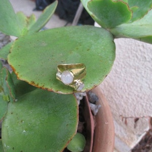 18 Karat Gold Embraced Baroque Era Ring, Natural Moonstone Multi-Stone Ring, Ready to Ship image 5