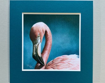 Flamingo - Giclée Print