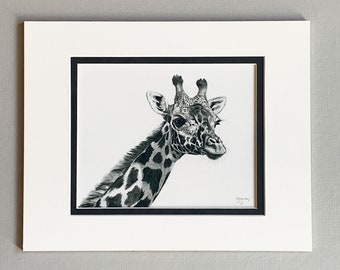 Masai Giraffe - Giclée Print