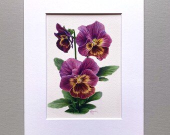 Purple Pansy Flowers - Giclée Print