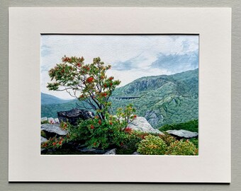 Mountain Ash - Giclée Print