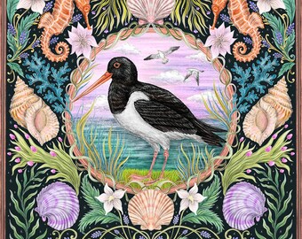 Oystercatcher - Coastal Calling Fine Art Print