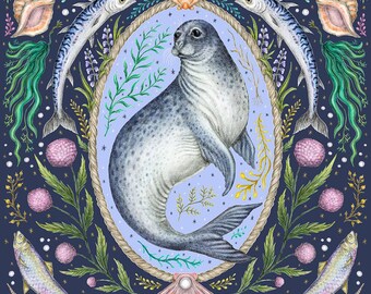 Cornish Seal - Coastal Calling Fine Art Print