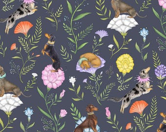 Doxie Day Afternoon Slate Grey Wallpaper