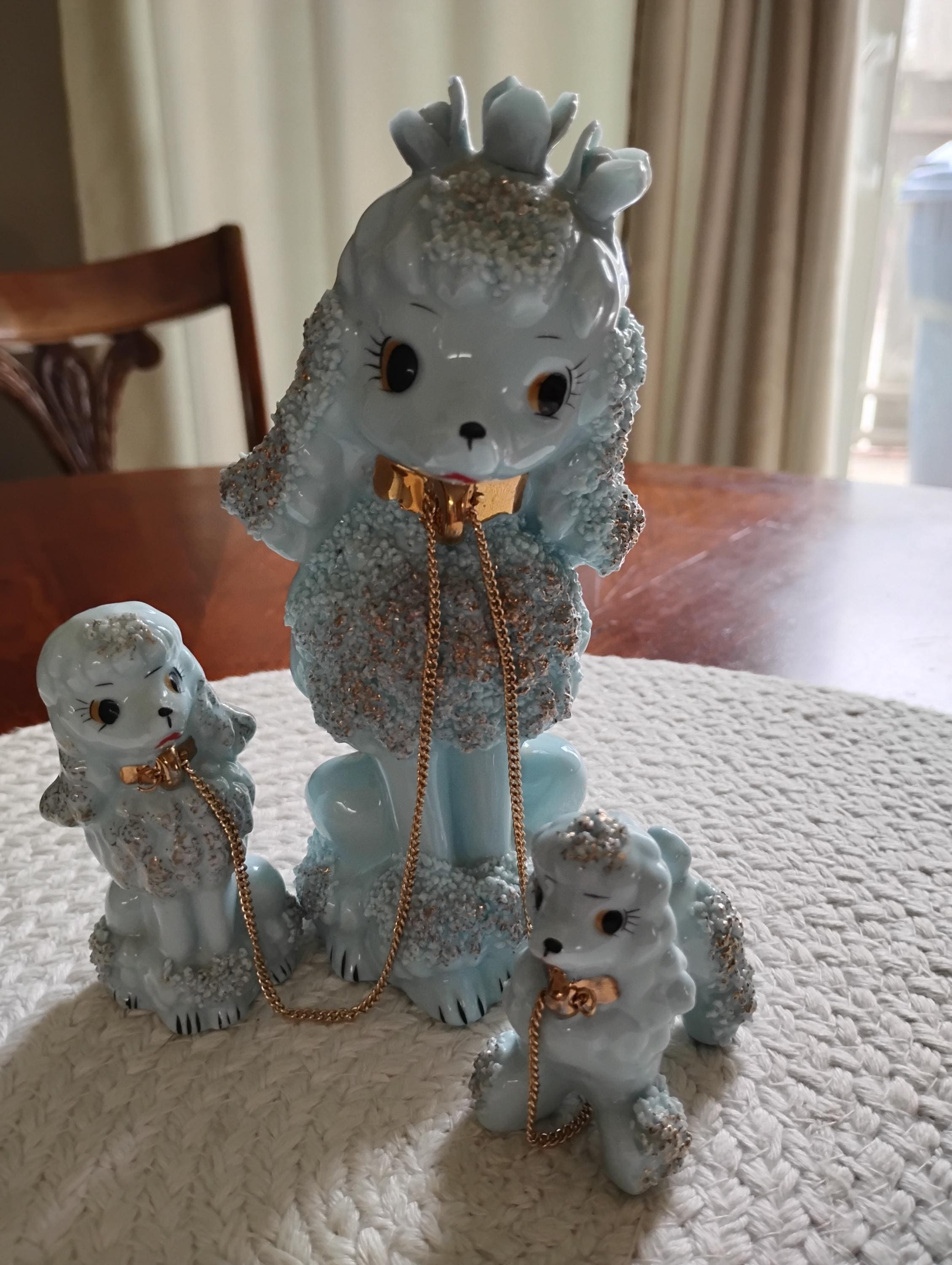 Blue Spaghetti Poodle - Etsy