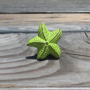 May include: A bright green starfish-shaped decorative object with a textured surface and dark brown accents. The five-pointed star is resting on a weathered wooden surface, casting a shadow.