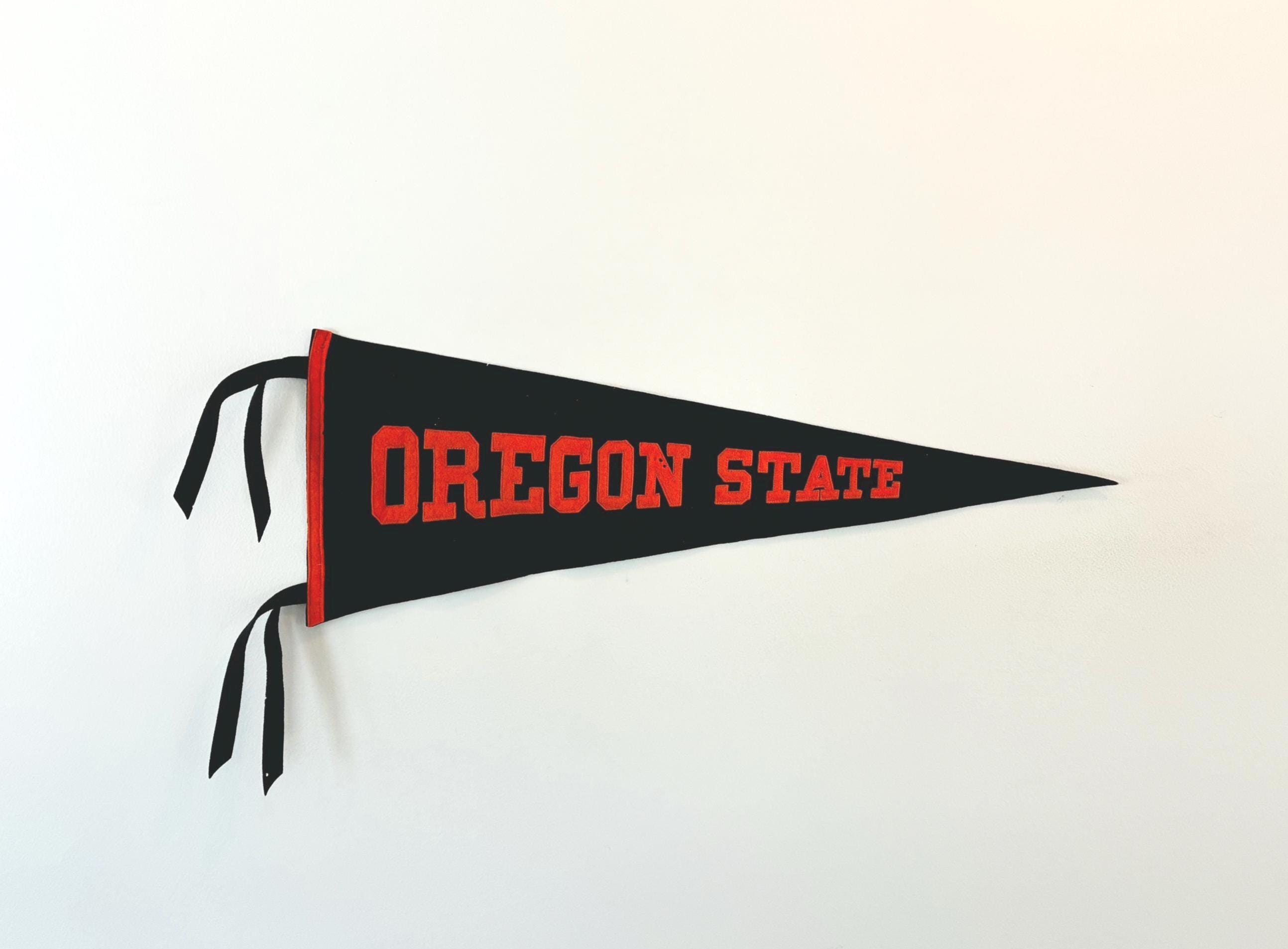 Vintage Pennants Oregon - Etsy