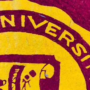 Vintage University of Minnesota Pennant image 7