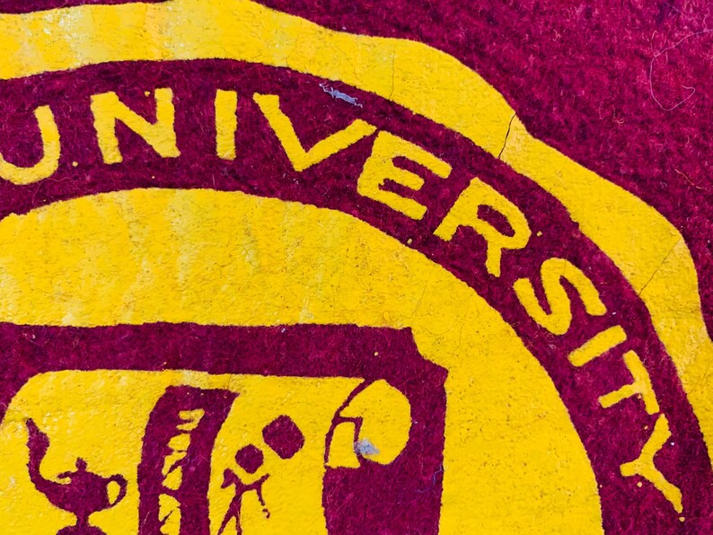 Vintage University of Minnesota Pennant image 7