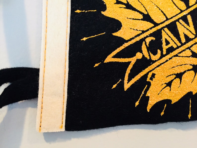 Vintage Niagara Falls Canada Souvenir Pennant