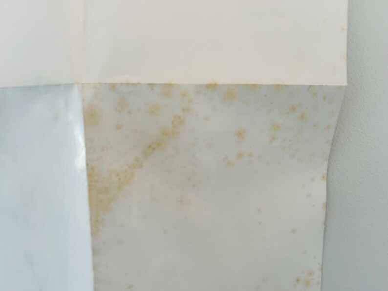 May include: Close-up of a section of paper showing mould. The paper is mainly white with areas of yellow and brown discolouration, indicating the presence of mould. The image shows the texture and spread of the mould.