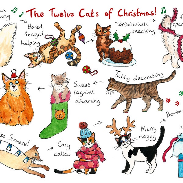 De Twaalf Katten van Kerstmis... Een kerstkaart voor kattenliefhebbers!