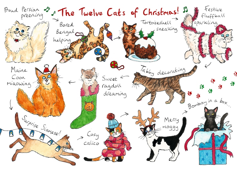 The Twelve Cats of Christmas... A Christmas card for cat lovers image 1