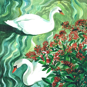 Two Swans a Swimming, greeting card, note card. Swans swimming with red berries on the foreground