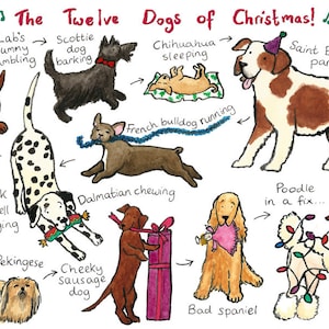 Pack de seis "Los doce perros de Navidad"... ¡un pack de seis tarjetas para los amantes de los perros!