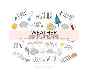 WEATHER Digital Stickers, Weather Tracker Pre-cropped Planner Stickers, GoodNotes, Bonus Stickers