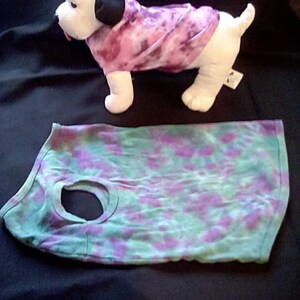 2X-large dog or cat tank top purple and green
