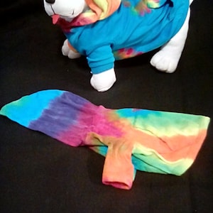 X-Small dog or cat hoodie top rainbow