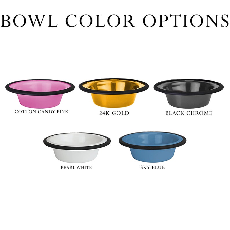 Premium Acrylic Dog Bowl Stand With Dogs Name and Choice of Etsy