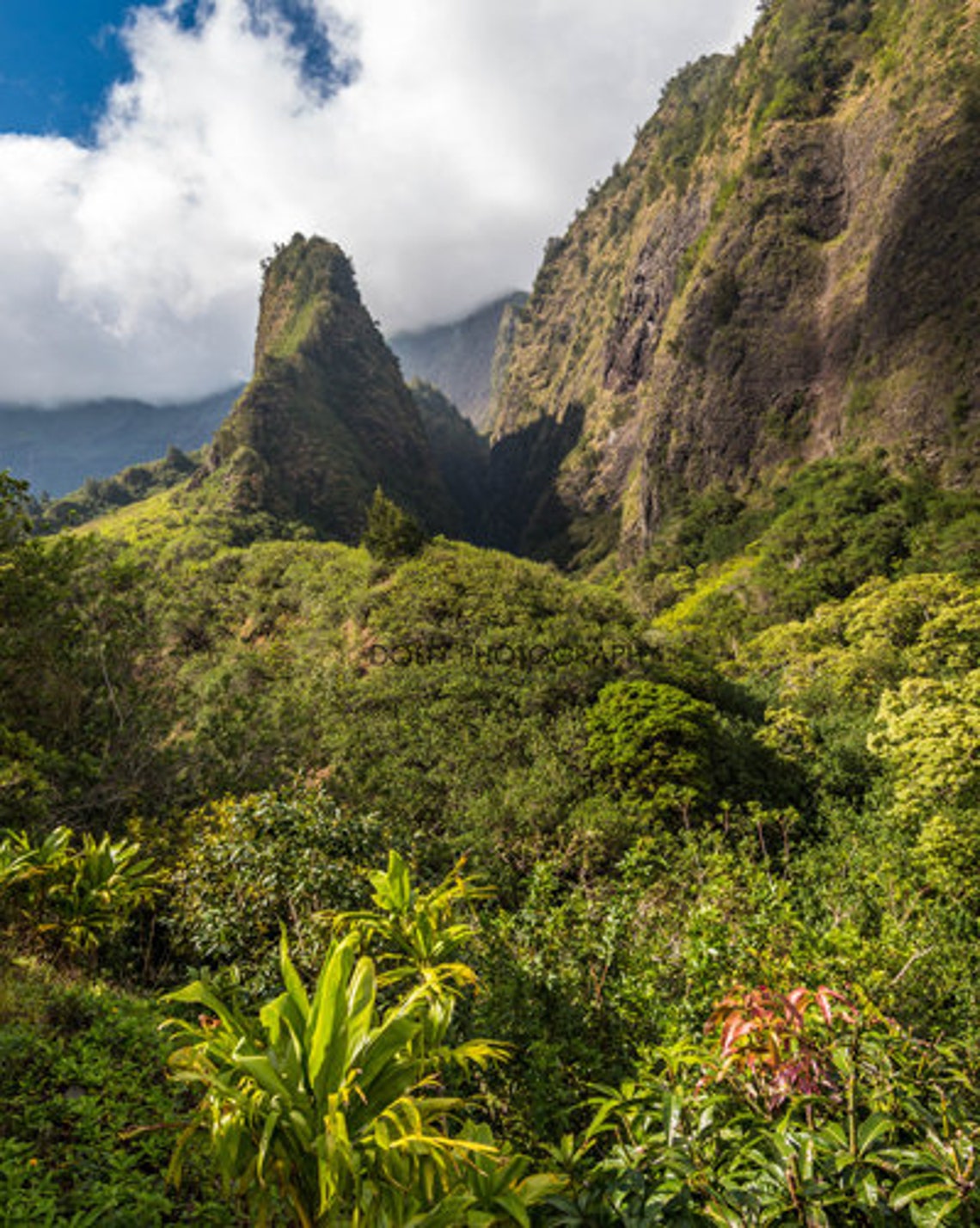 The Needle Maui Hawaii Iao Valley State Monument Landscape - Etsy