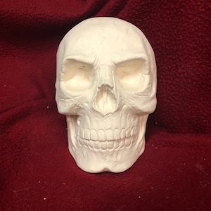 Unpainted, Ready to Paint, Ceramic Bisque Skull