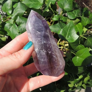 May include: A purple amethyst crystal point with a pointed tip and a smooth, polished surface. The crystal is held in a hand against a background of green leaves.