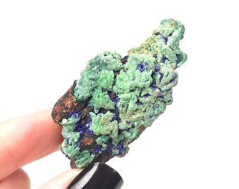 Quartz Crystal covered in Azurite, Malachite & Iron - Powerful Third Eye Opener, Heart Opener, Grounding (Morocco)