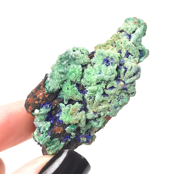 Quartz Crystal covered in Azurite, Malachite & Iron - Powerful Third Eye Opener, Heart Opener, Grounding (Morocco)