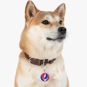 May include: A Shiba Inu dog wearing a brown leather collar with a metal buckle and a round tag. The tag features a red, white, and blue design with a skull and lightning bolt graphic.